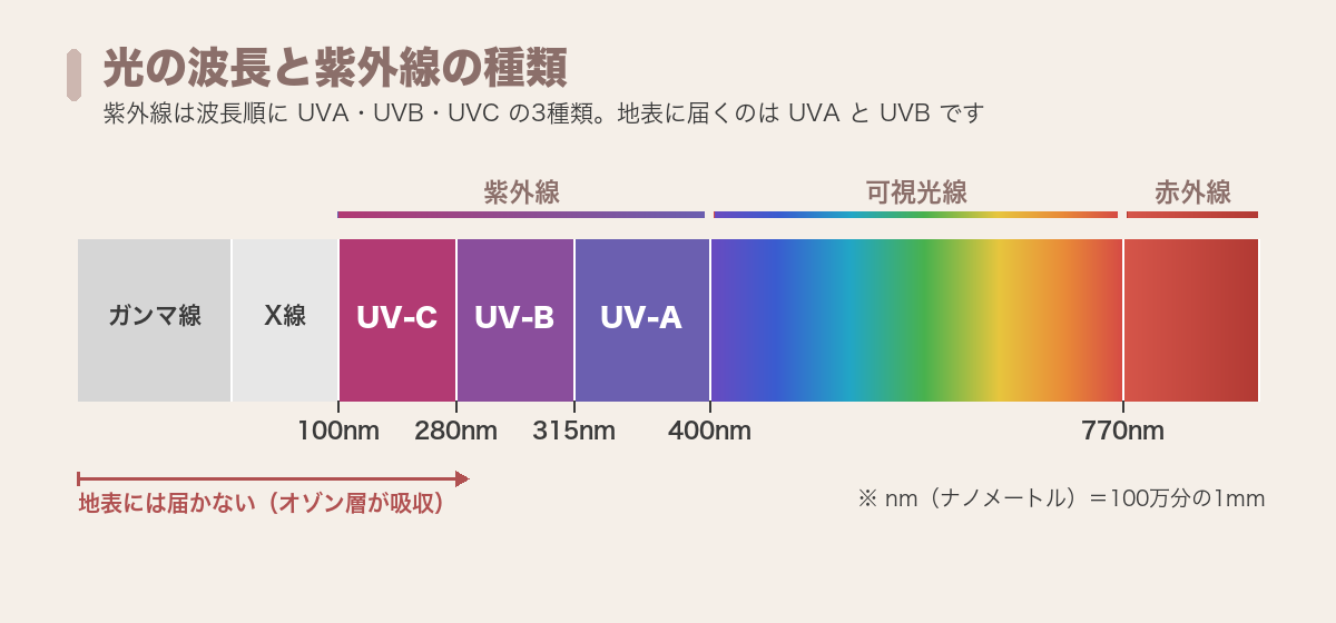 光の波長と紫外線の種類（UVA・UVB・UVCと可視光線・赤外線）